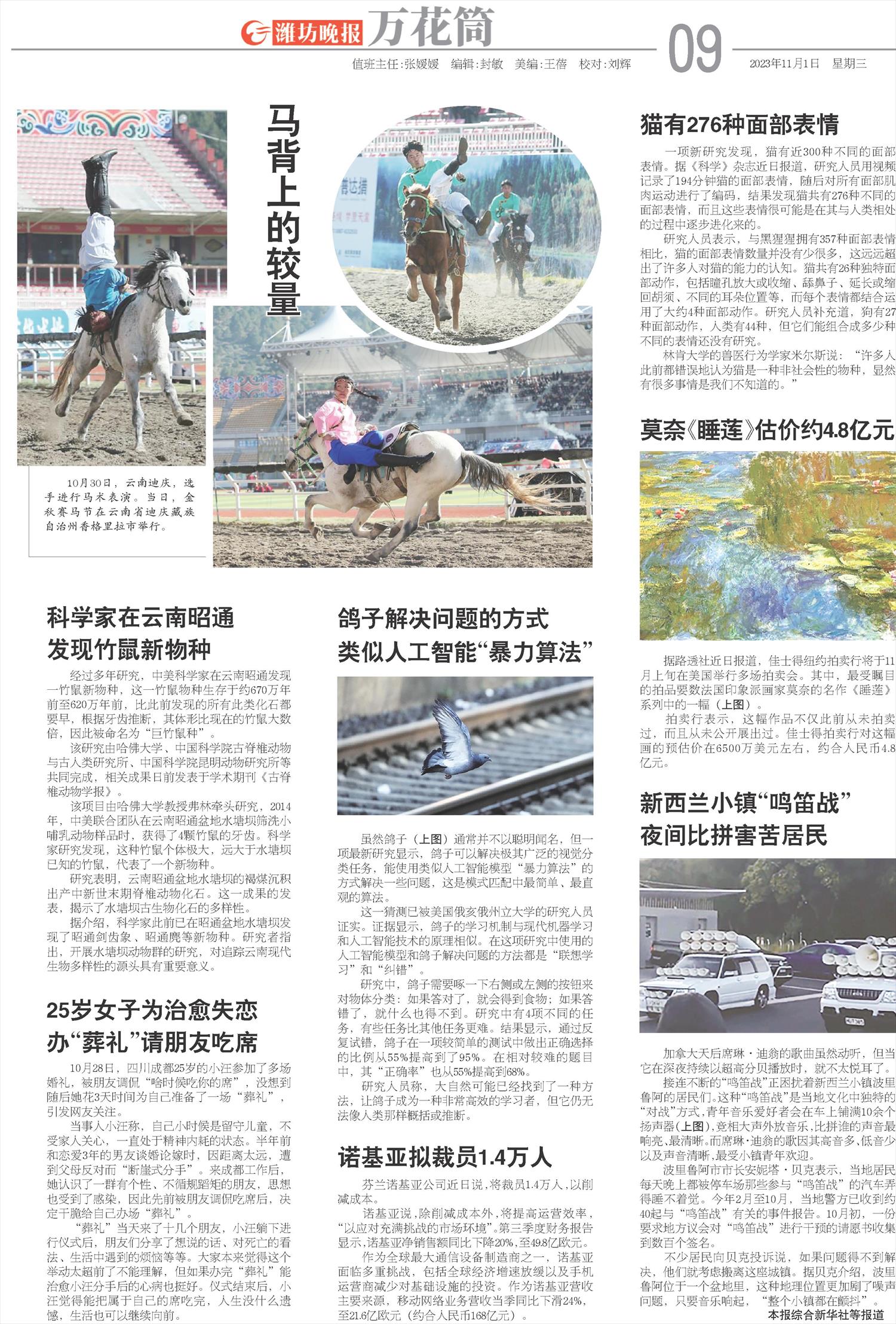 ****处理标记：[page]时， 字段 [] 在数据源中没有找到! ****