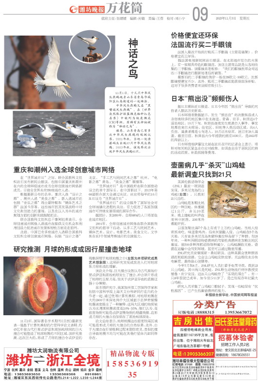 ****处理标记：[page]时， 字段 [] 在数据源中没有找到! ****