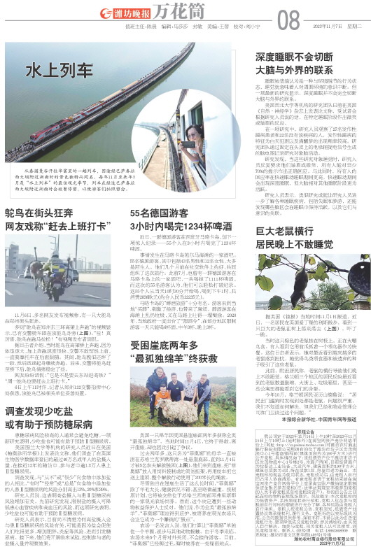 ****处理标记：[page]时， 字段 [] 在数据源中没有找到! ****