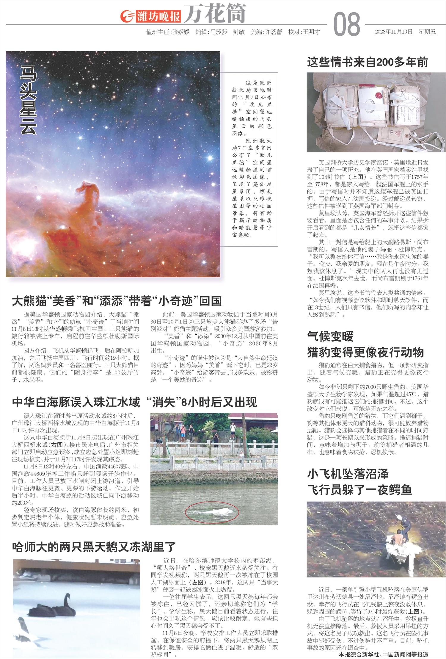 ****处理标记：[page]时， 字段 [] 在数据源中没有找到! ****