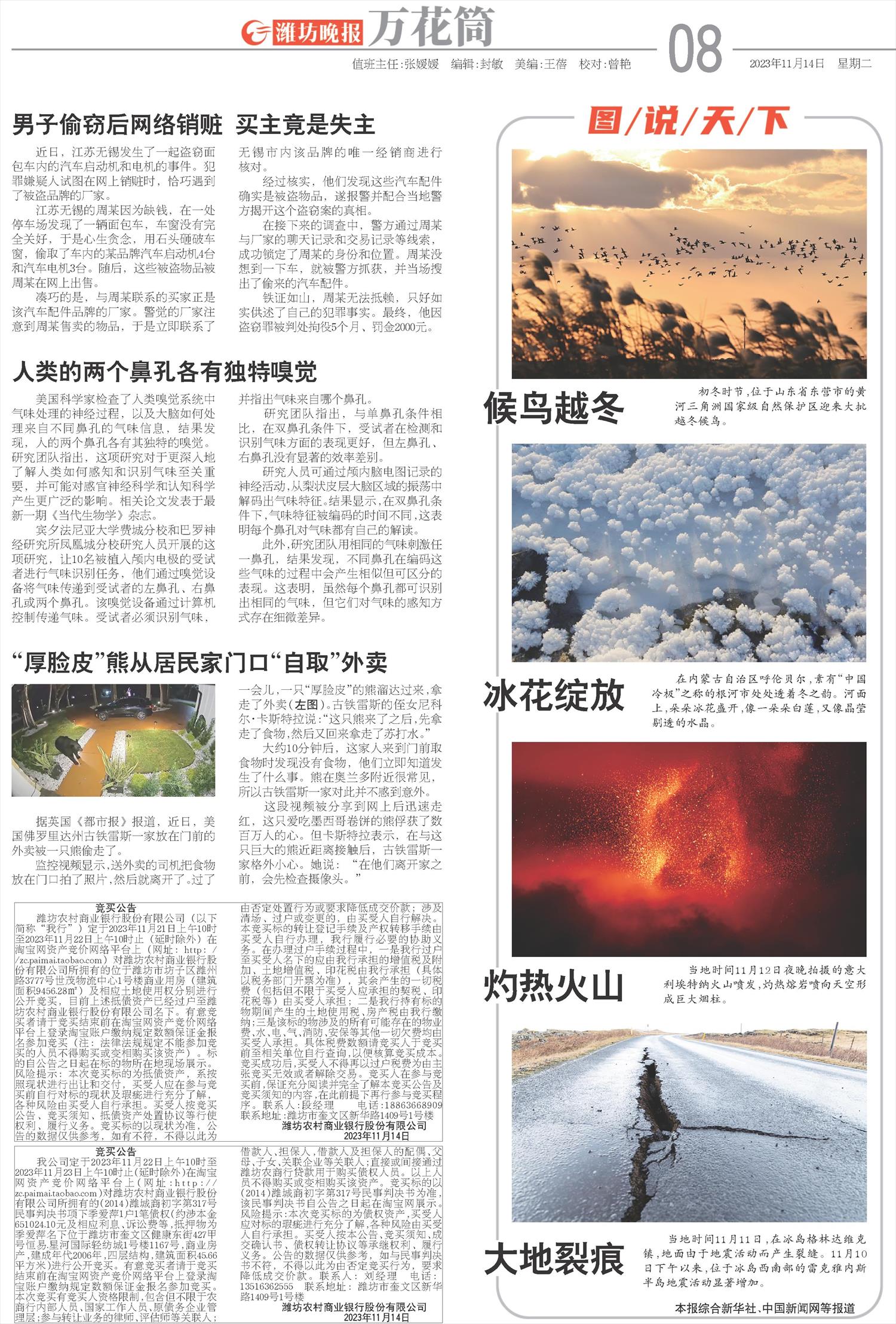 ****处理标记：[page]时， 字段 [] 在数据源中没有找到! ****