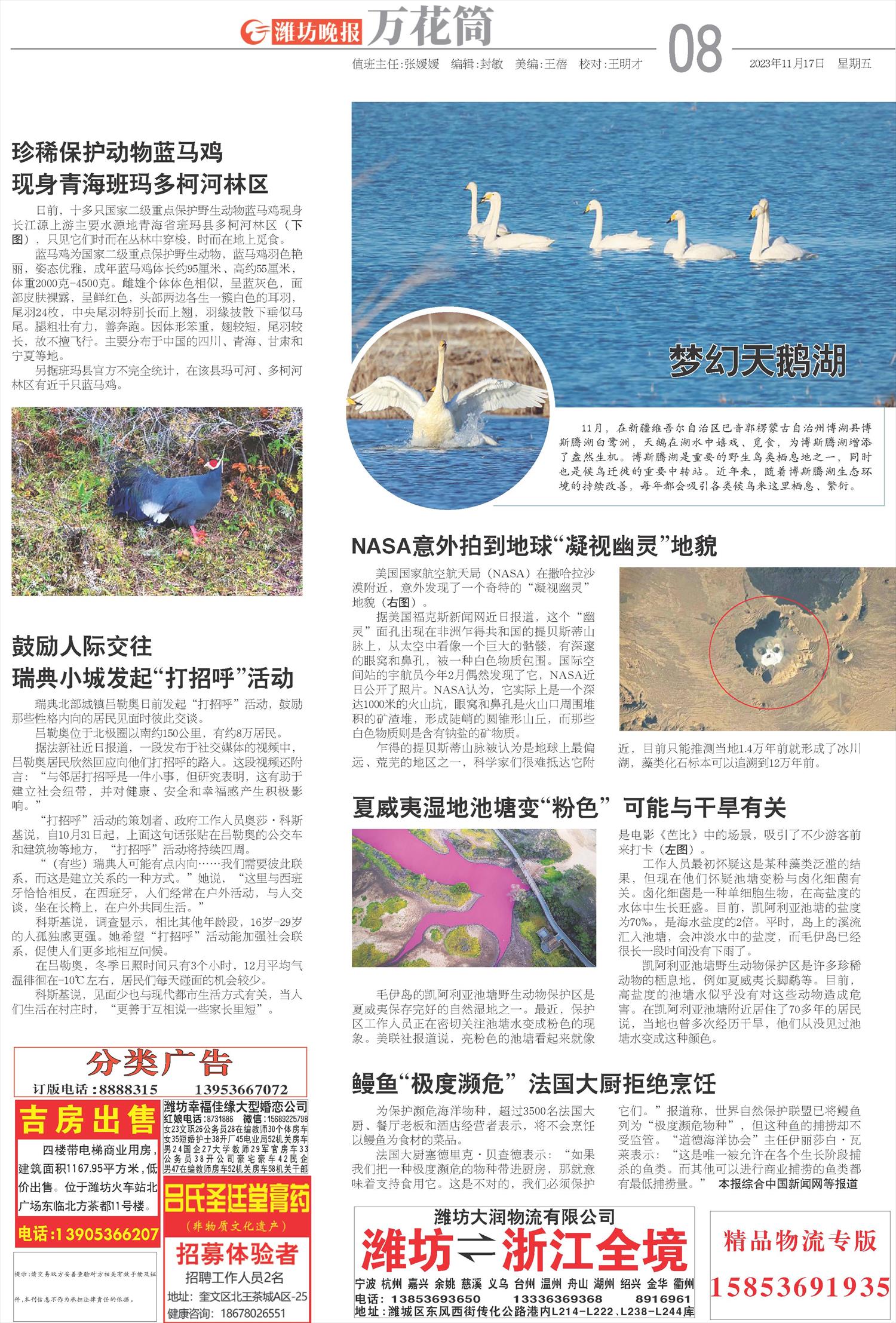 ****处理标记：[page]时， 字段 [] 在数据源中没有找到! ****