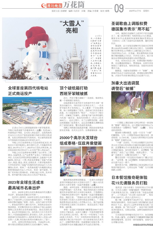 ****处理标记：[page]时， 字段 [] 在数据源中没有找到! ****