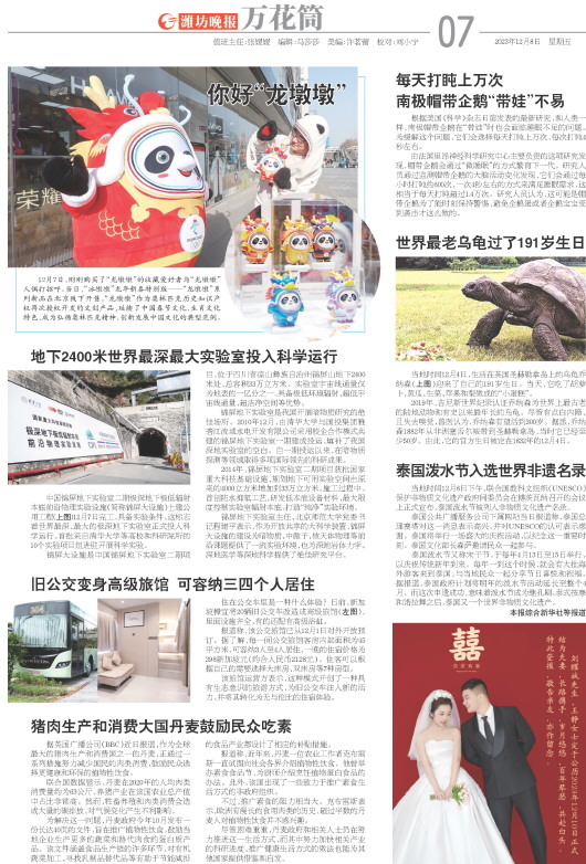 ****处理标记：[page]时， 字段 [] 在数据源中没有找到! ****