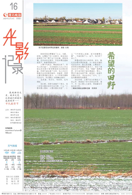 ****处理标记：[page]时， 字段 [] 在数据源中没有找到! ****