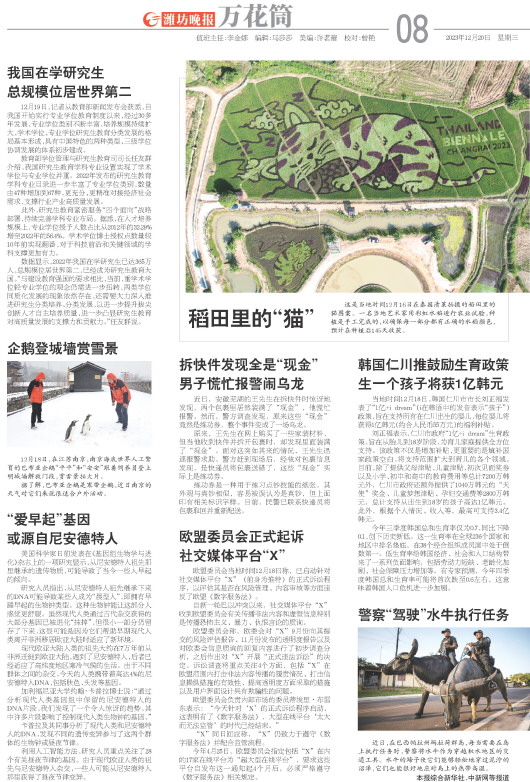 ****处理标记：[page]时， 字段 [] 在数据源中没有找到! ****