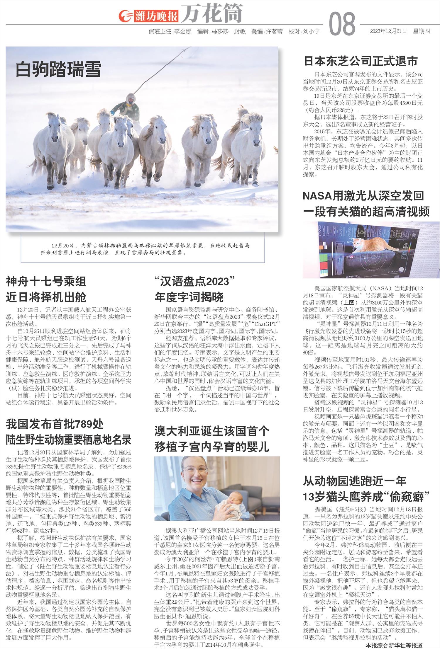 ****处理标记：[page]时， 字段 [] 在数据源中没有找到! ****