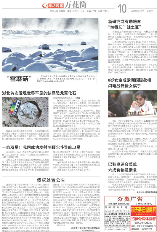 ****处理标记：[page]时， 字段 [] 在数据源中没有找到! ****