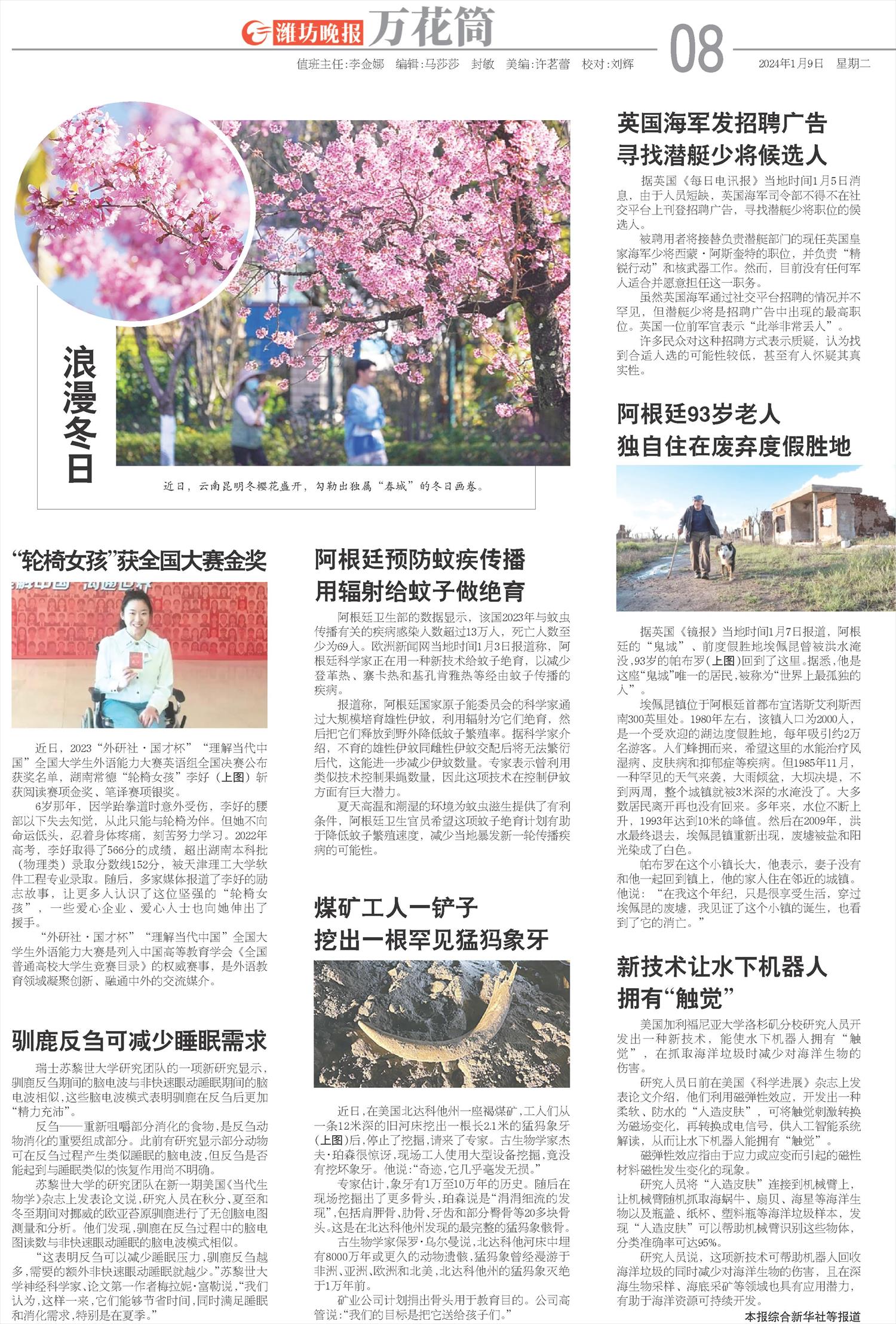 ****处理标记：[page]时， 字段 [] 在数据源中没有找到! ****