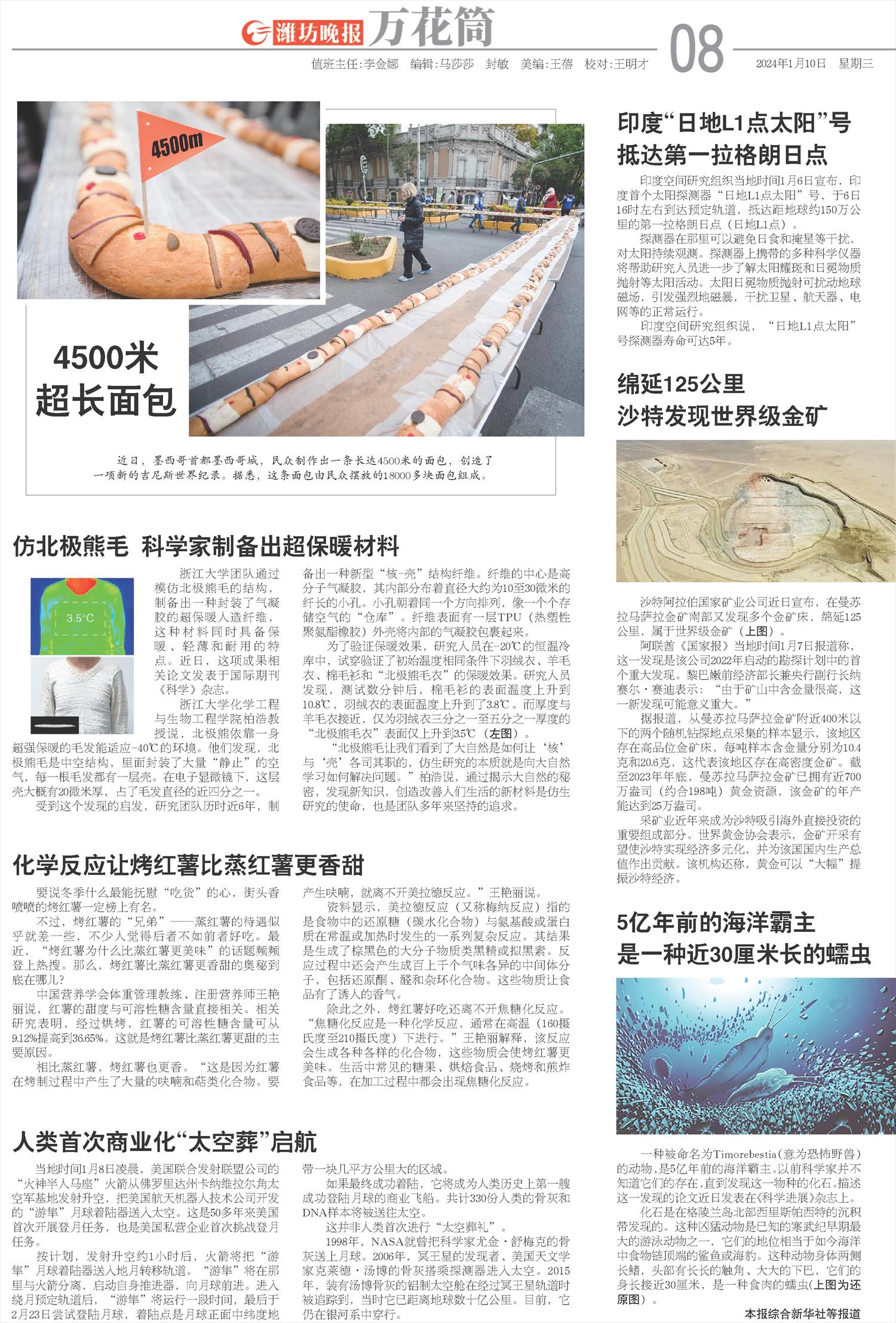 ****处理标记：[page]时， 字段 [] 在数据源中没有找到! ****