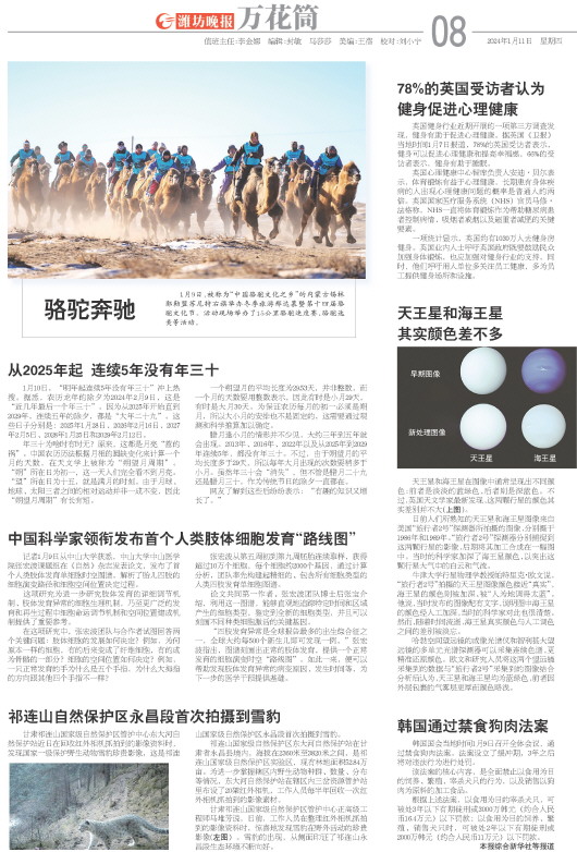 ****处理标记：[page]时， 字段 [] 在数据源中没有找到! ****