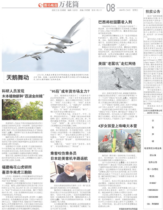 ****处理标记：[page]时， 字段 [] 在数据源中没有找到! ****