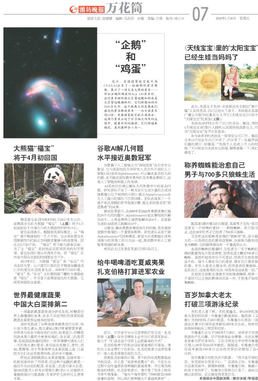 ****处理标记：[page]时， 字段 [] 在数据源中没有找到! ****
