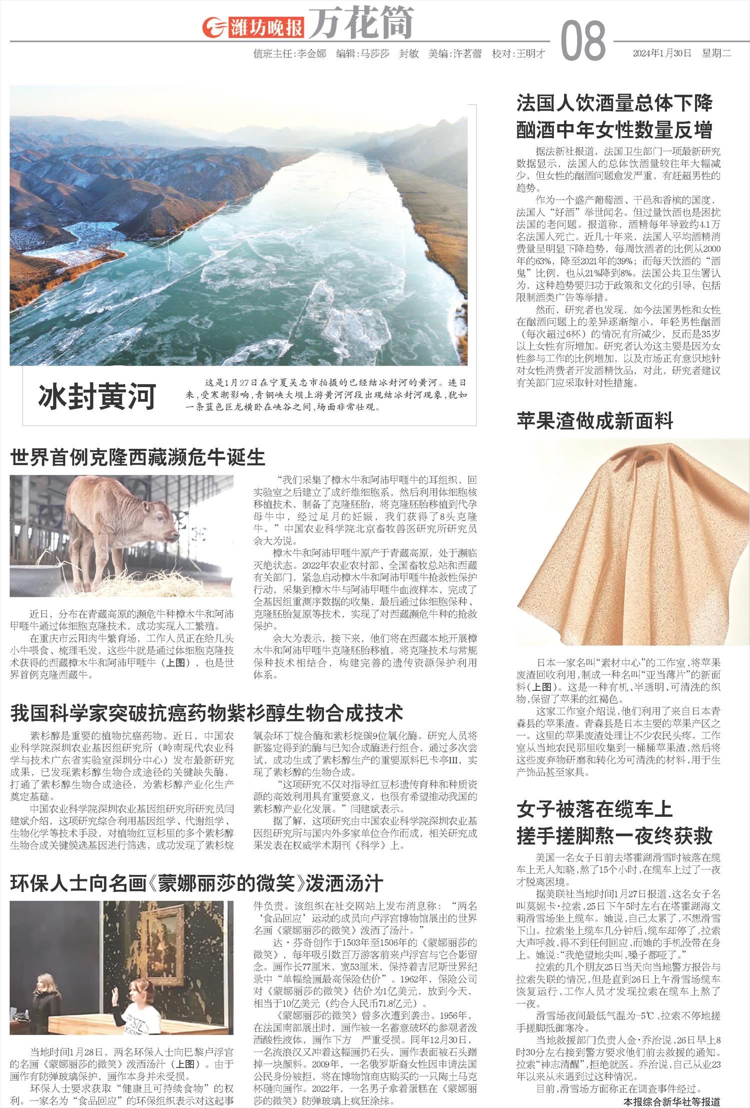 ****处理标记：[page]时， 字段 [] 在数据源中没有找到! ****