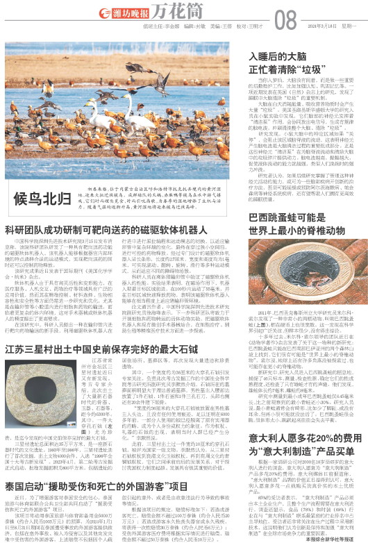 ****处理标记：[page]时， 字段 [] 在数据源中没有找到! ****