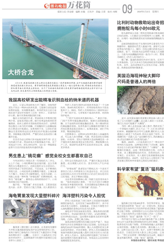 ****处理标记：[page]时， 字段 [] 在数据源中没有找到! ****