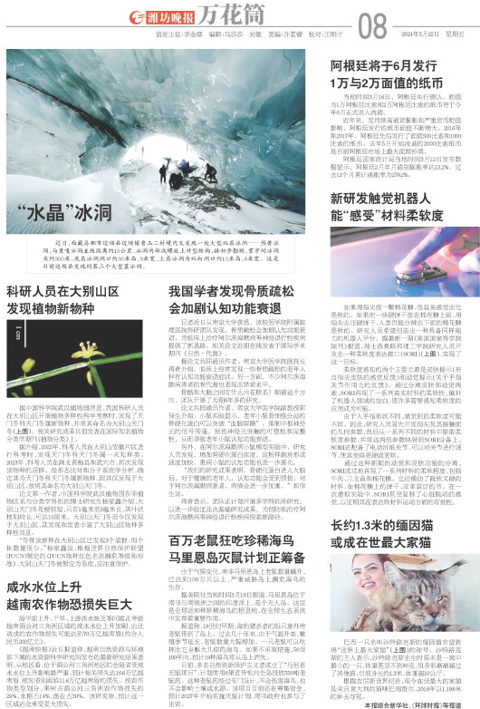 ****处理标记：[page]时， 字段 [] 在数据源中没有找到! ****