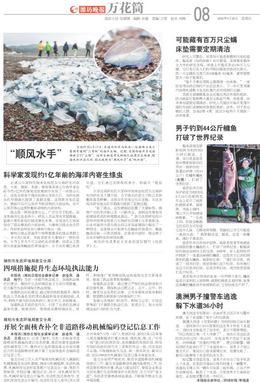 ****处理标记：[page]时， 字段 [] 在数据源中没有找到! ****