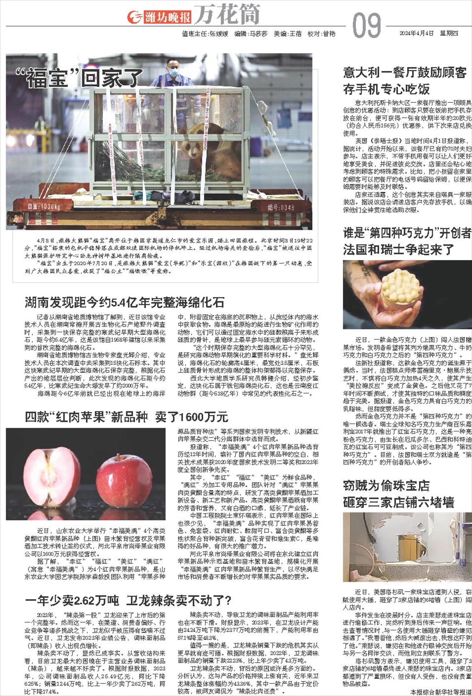 ****处理标记：[page]时， 字段 [] 在数据源中没有找到! ****