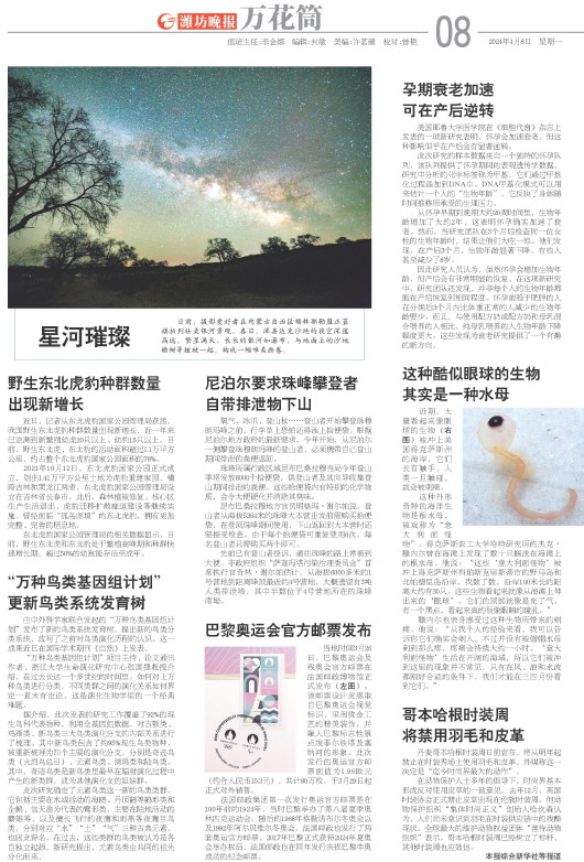 ****处理标记：[page]时， 字段 [] 在数据源中没有找到! ****
