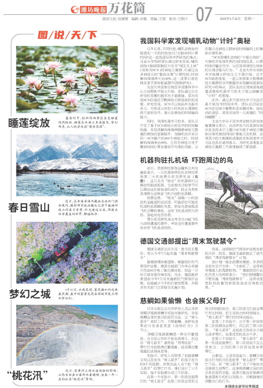 ****处理标记：[page]时， 字段 [] 在数据源中没有找到! ****