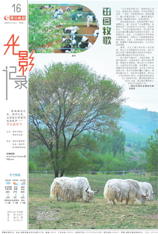 ****处理标记：[page]时， 字段 [] 在数据源中没有找到! ****