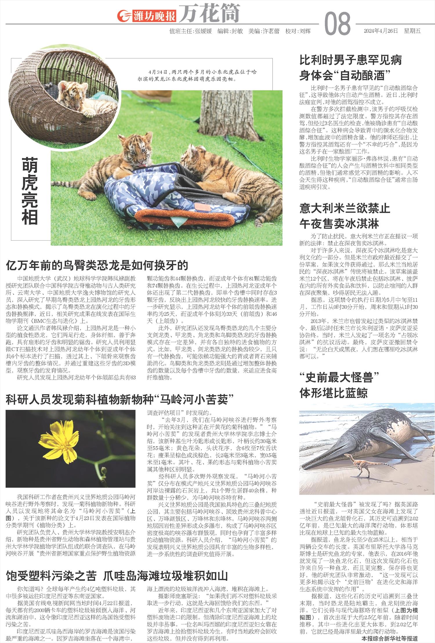 ****处理标记：[page]时， 字段 [] 在数据源中没有找到! ****