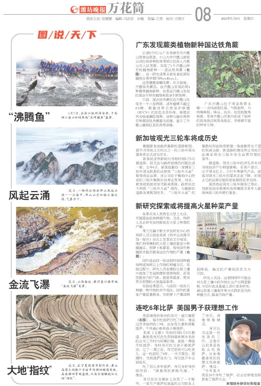 ****处理标记：[page]时， 字段 [] 在数据源中没有找到! ****