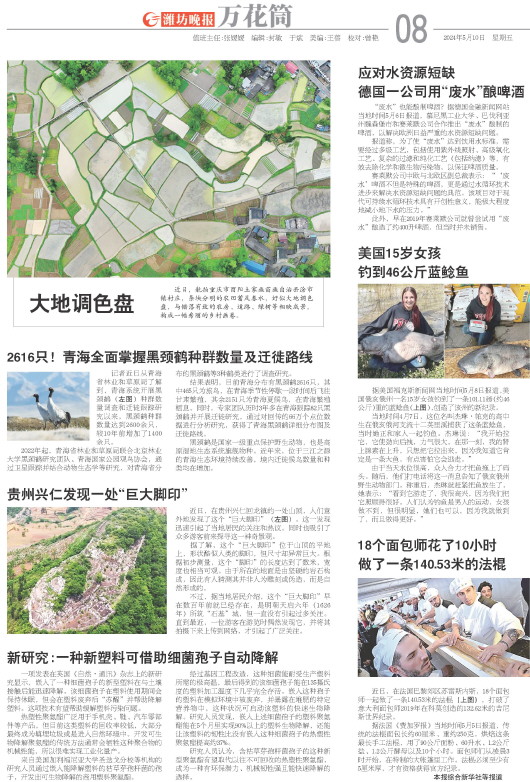 ****处理标记：[page]时， 字段 [] 在数据源中没有找到! ****