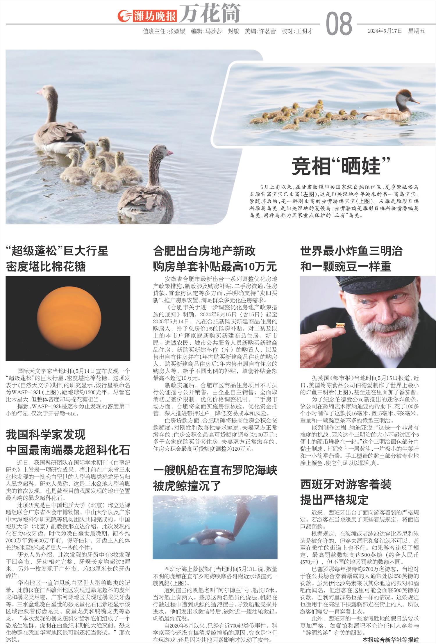 ****处理标记：[page]时， 字段 [] 在数据源中没有找到! ****