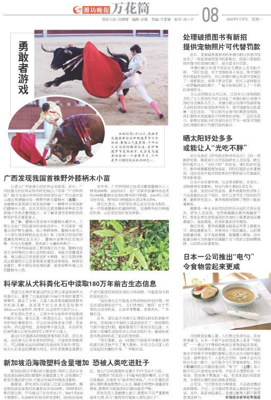 ****处理标记：[page]时， 字段 [] 在数据源中没有找到! ****