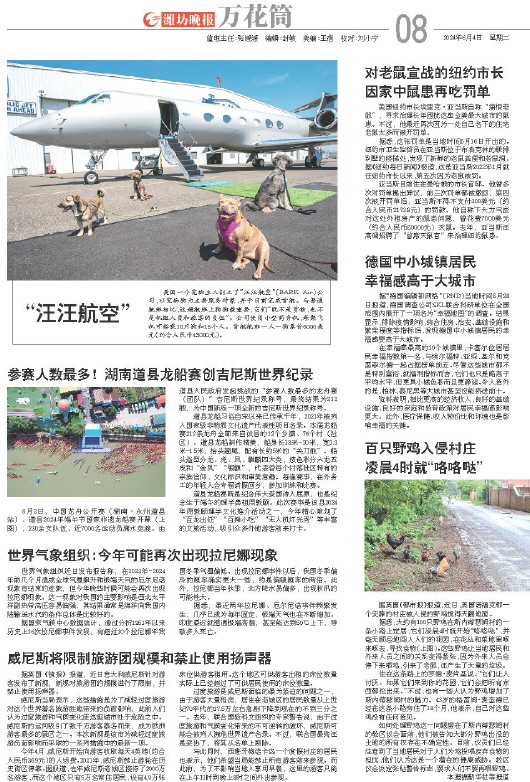 ****处理标记：[page]时， 字段 [] 在数据源中没有找到! ****