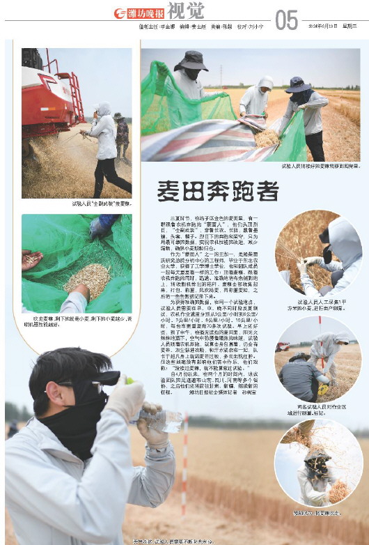 ****处理标记：[page]时， 字段 [] 在数据源中没有找到! ****