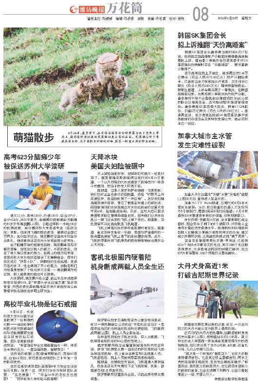 ****处理标记：[page]时， 字段 [] 在数据源中没有找到! ****