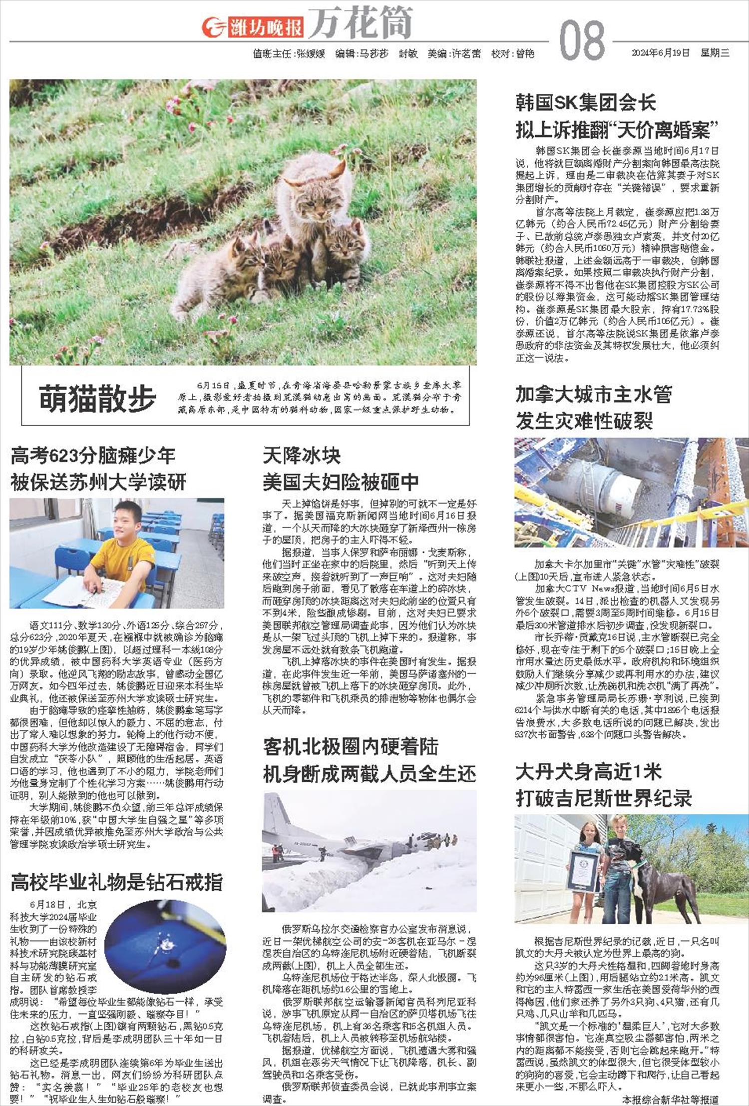 ****处理标记：[page]时， 字段 [] 在数据源中没有找到! ****