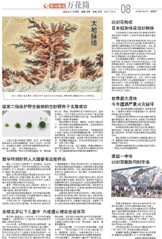 ****处理标记：[page]时， 字段 [] 在数据源中没有找到! ****