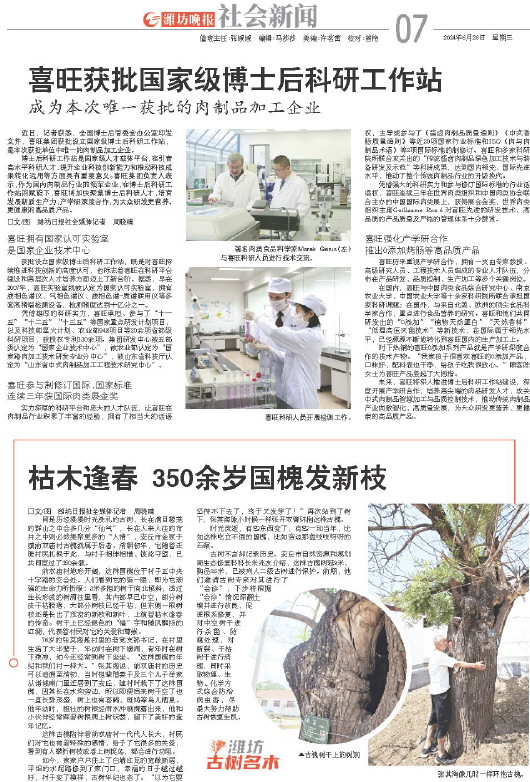 ****处理标记：[page]时， 字段 [] 在数据源中没有找到! ****