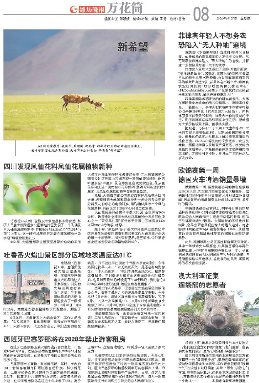 ****处理标记：[page]时， 字段 [] 在数据源中没有找到! ****