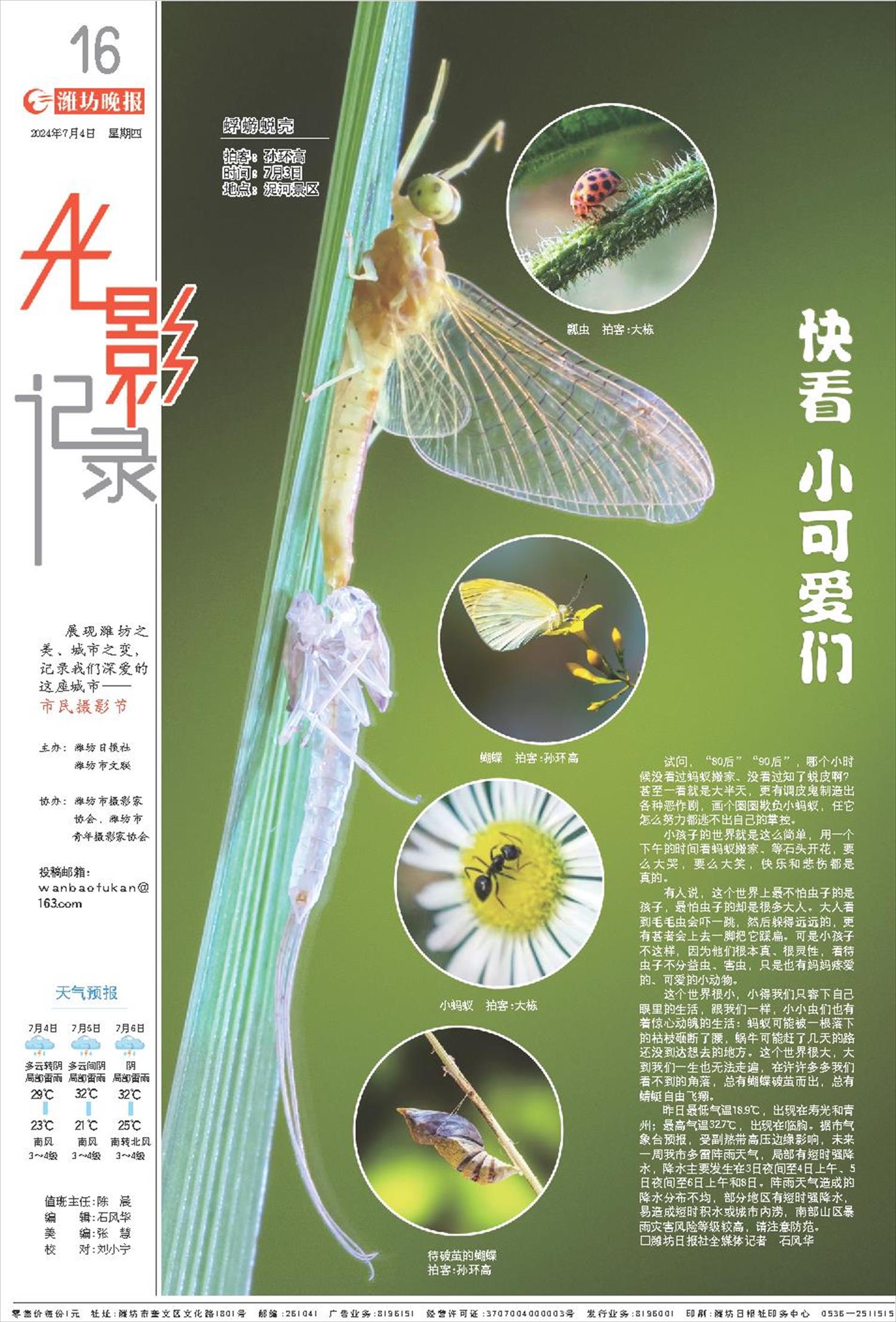 ****处理标记：[page]时， 字段 [] 在数据源中没有找到! ****