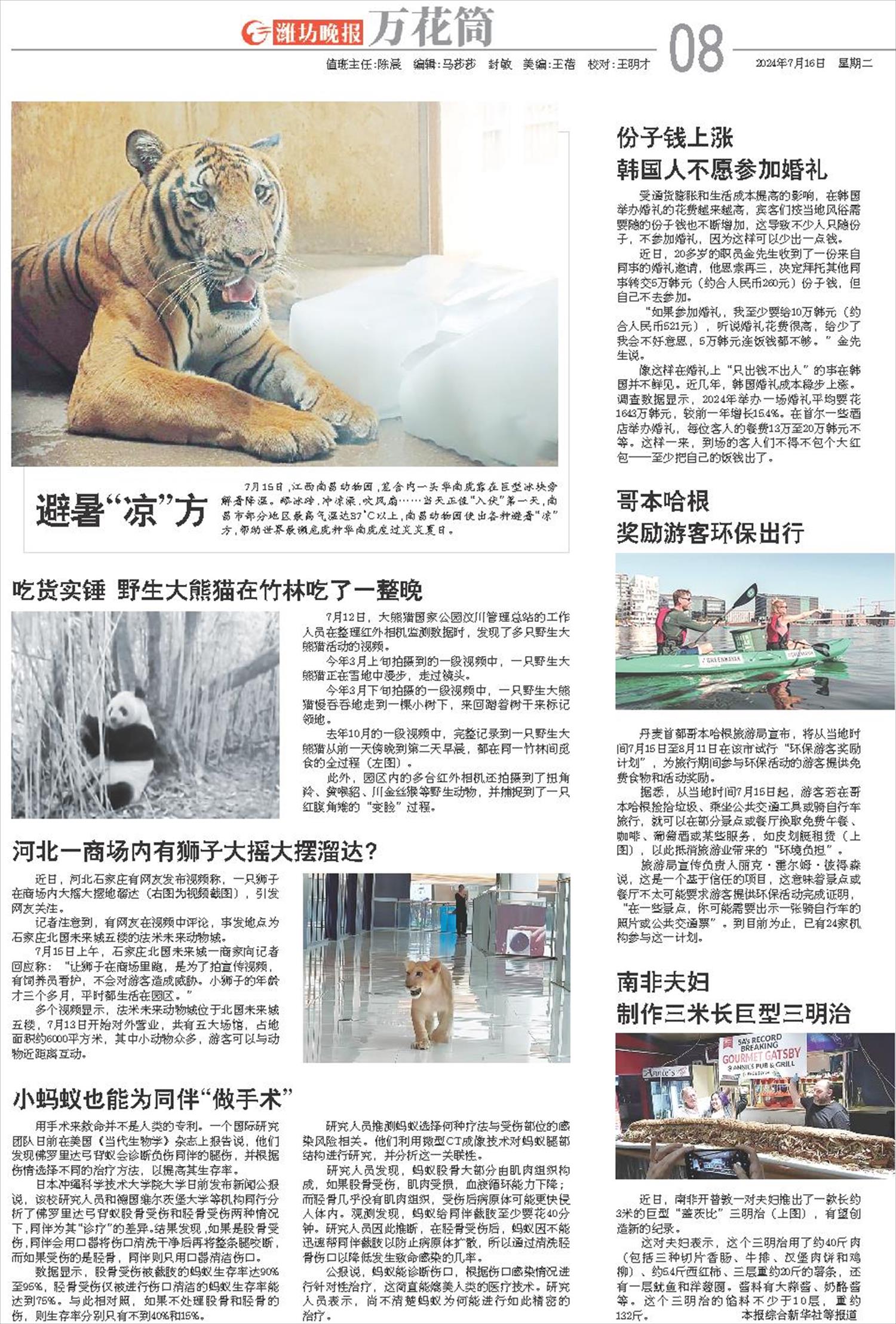 ****处理标记：[page]时， 字段 [] 在数据源中没有找到! ****