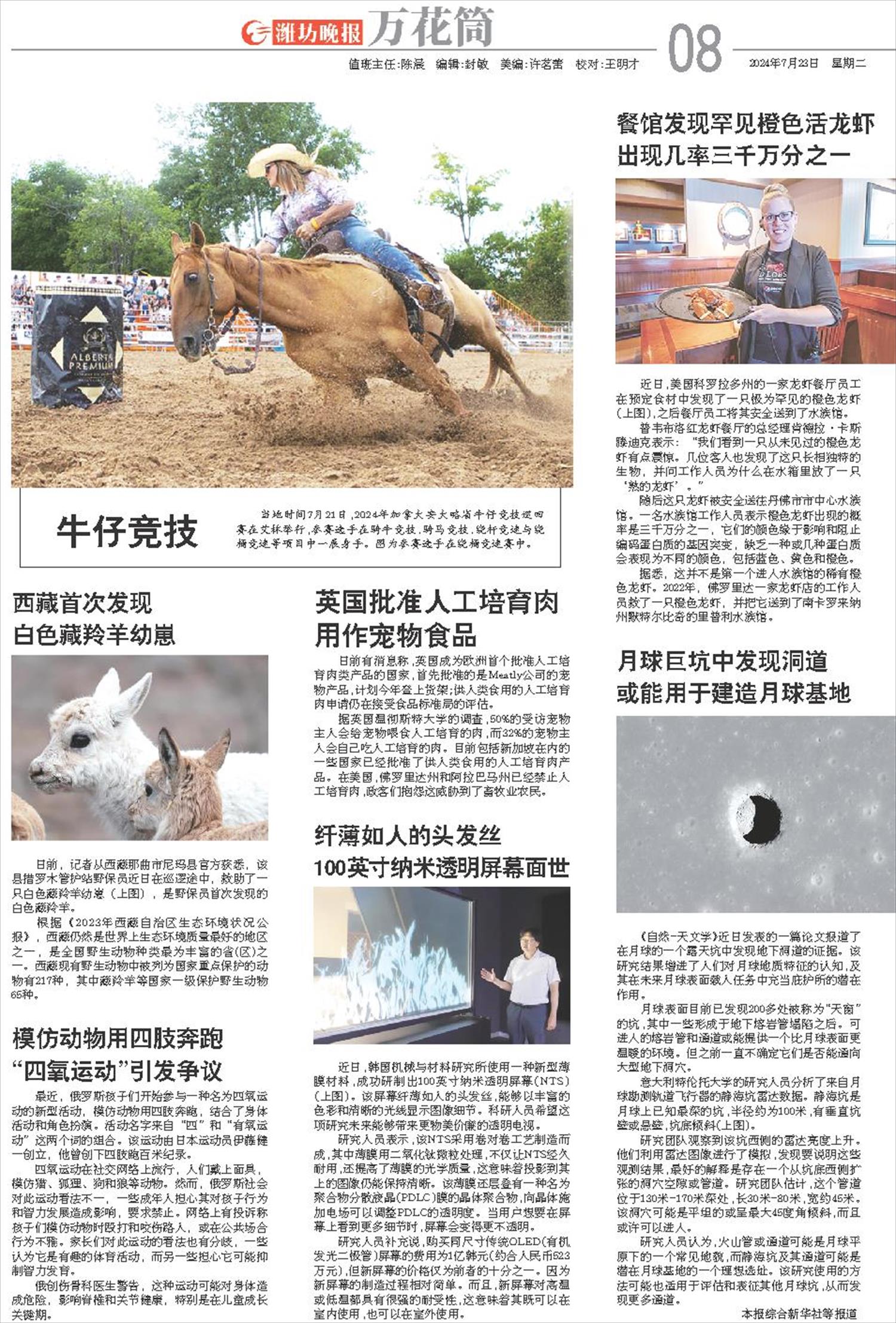 ****处理标记：[page]时， 字段 [] 在数据源中没有找到! ****
