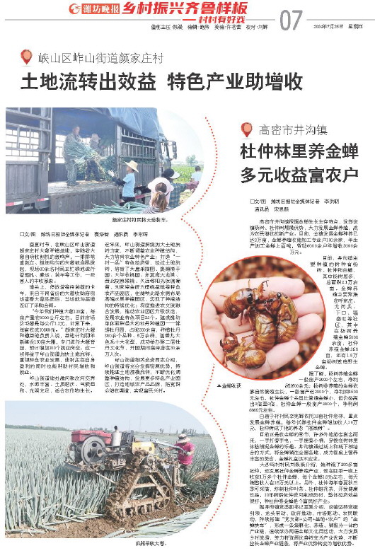 ****处理标记：[page]时， 字段 [] 在数据源中没有找到! ****