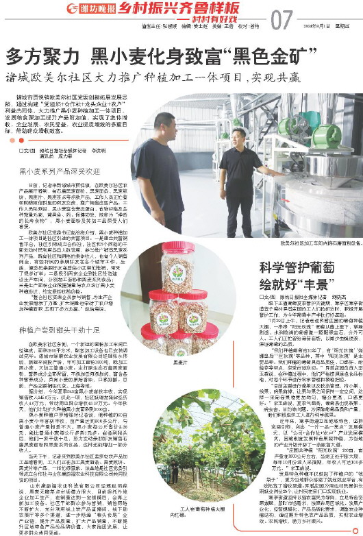 ****处理标记：[page]时， 字段 [] 在数据源中没有找到! ****