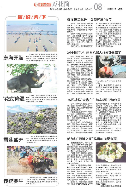 ****处理标记：[page]时， 字段 [] 在数据源中没有找到! ****