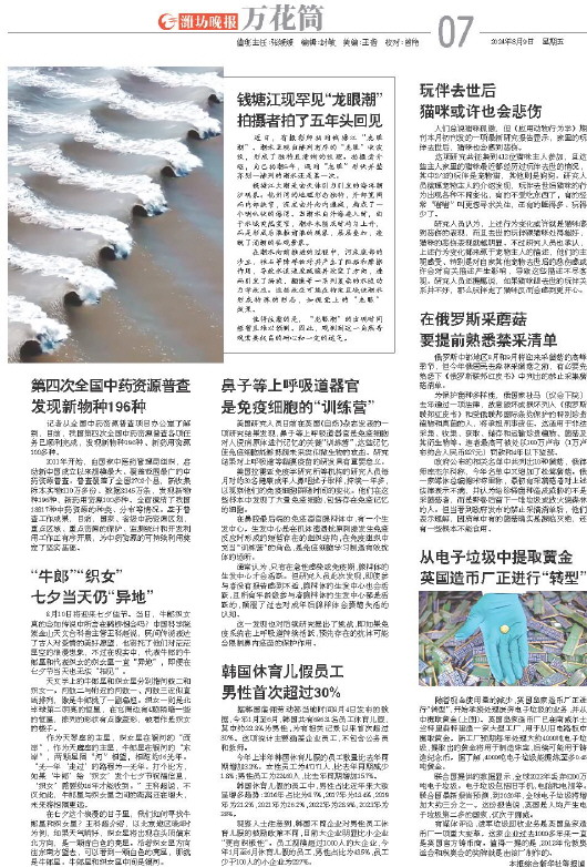 ****处理标记：[page]时， 字段 [] 在数据源中没有找到! ****