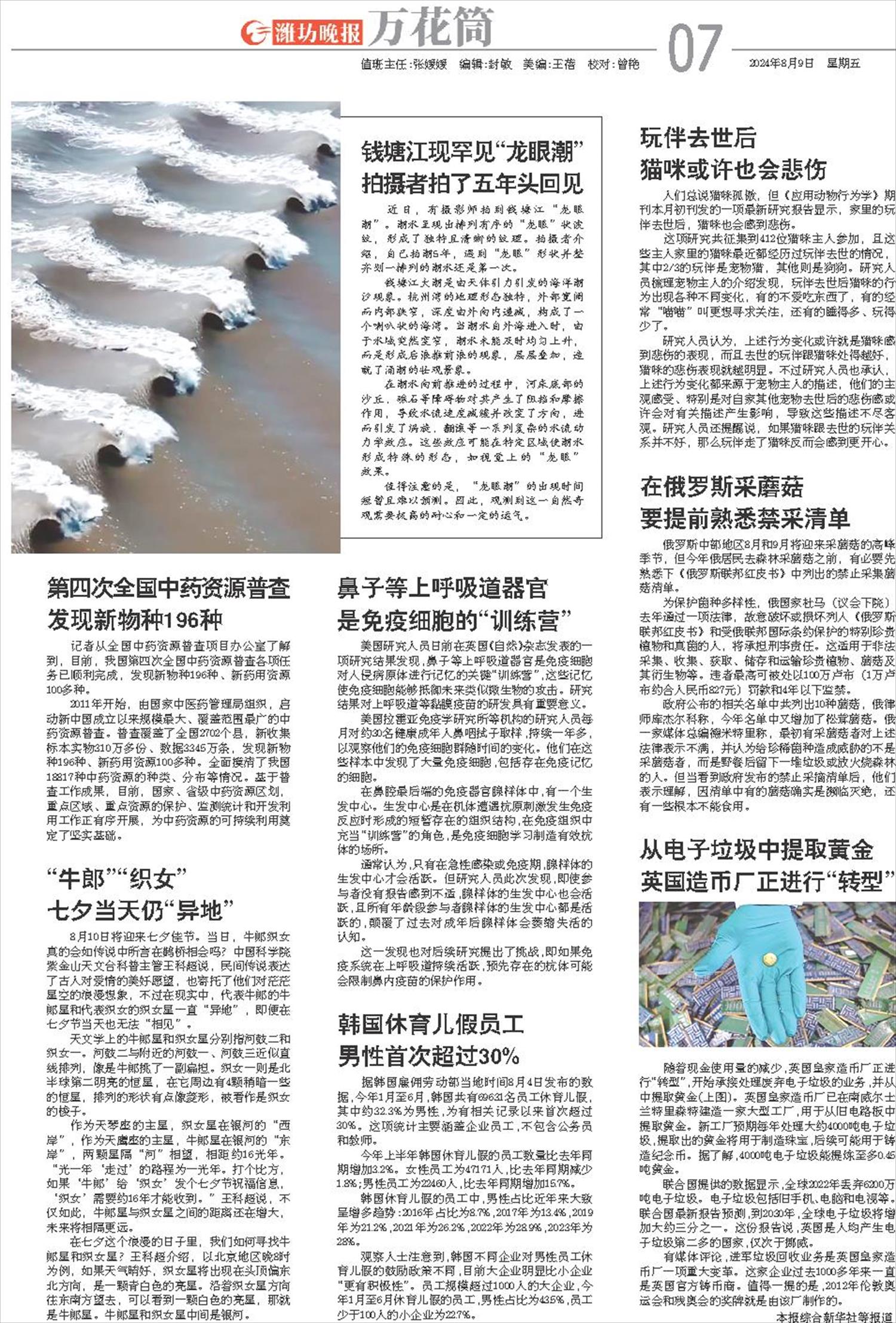 ****处理标记：[page]时， 字段 [] 在数据源中没有找到! ****