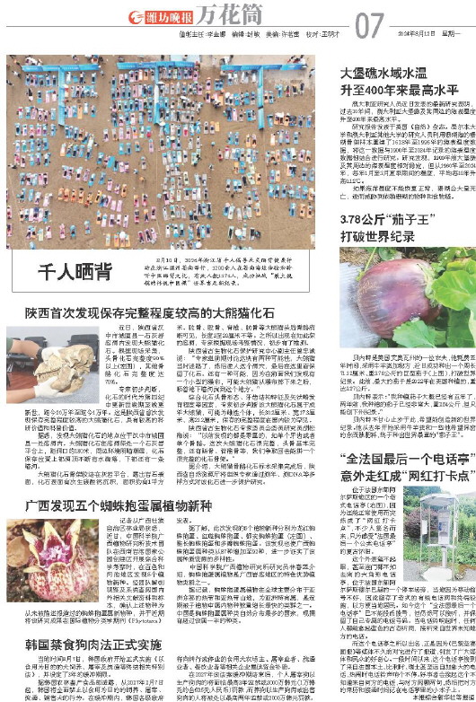 ****处理标记：[page]时， 字段 [] 在数据源中没有找到! ****