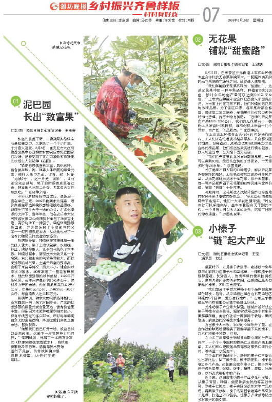 ****处理标记：[page]时， 字段 [] 在数据源中没有找到! ****