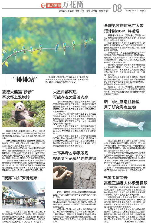 ****处理标记：[page]时， 字段 [] 在数据源中没有找到! ****