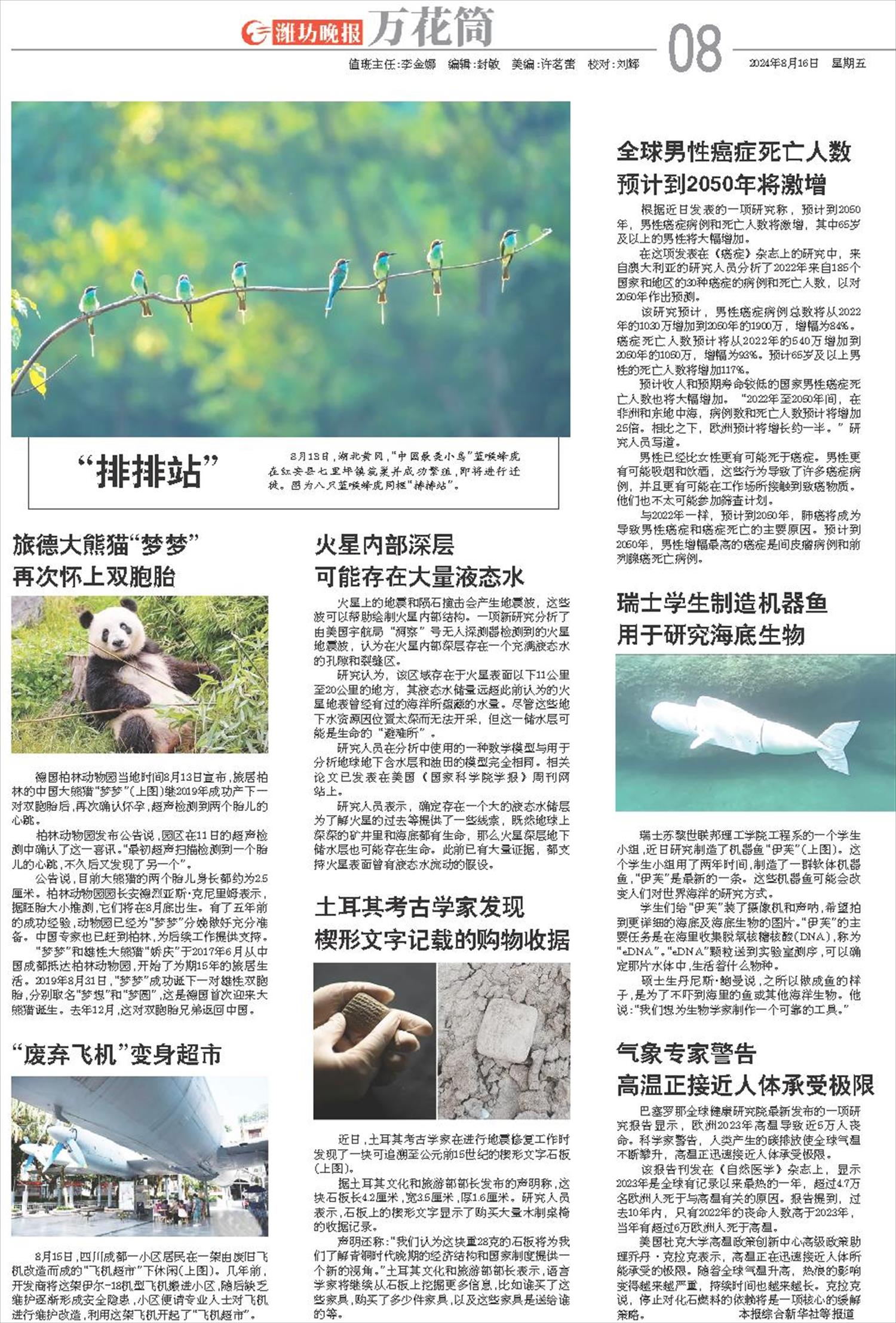****处理标记：[page]时， 字段 [] 在数据源中没有找到! ****